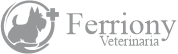 Ferriony.png